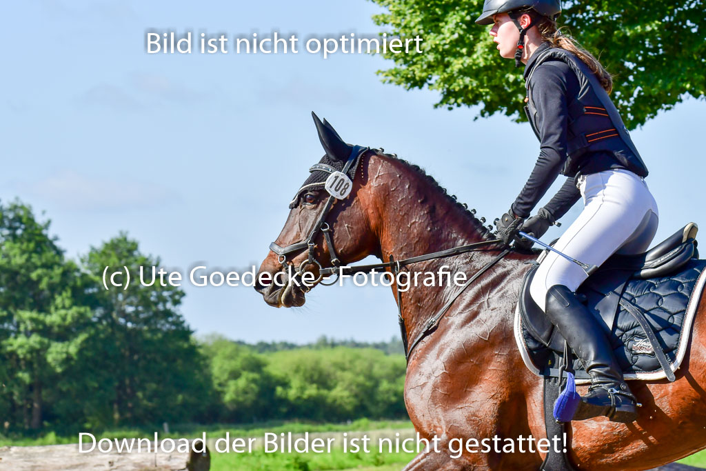 Goldene Schärpe PFerde  in Löningen  11+12.6.22 | 11062022 - Gelände 1 Abt_0179 