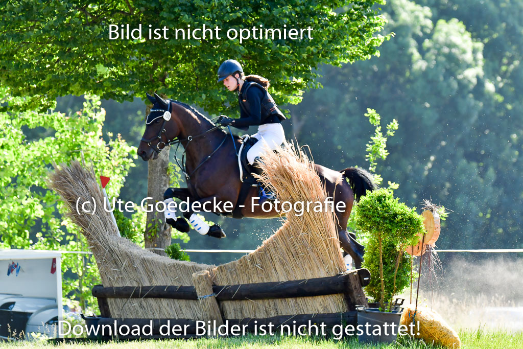 Goldene Schärpe PFerde  in Löningen  11+12.6.22 | 11062022 - Gelände 1 Abt_0180