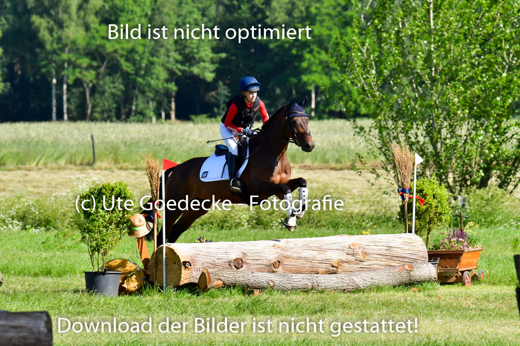 Goldene Schärpe PFerde  in Löningen  11+12.6.22 | 11062022 - Gelände 1 Abt_0181 