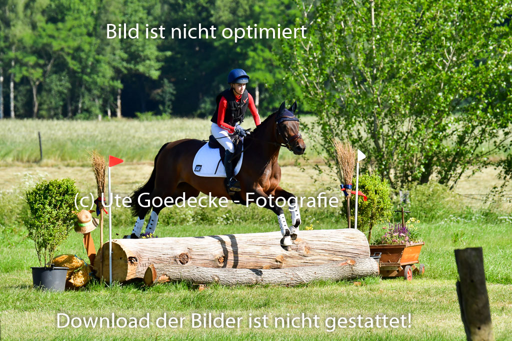 Goldene Schärpe PFerde  in Löningen  11+12.6.22 | 11062022 - Gelände 1 Abt_0182 