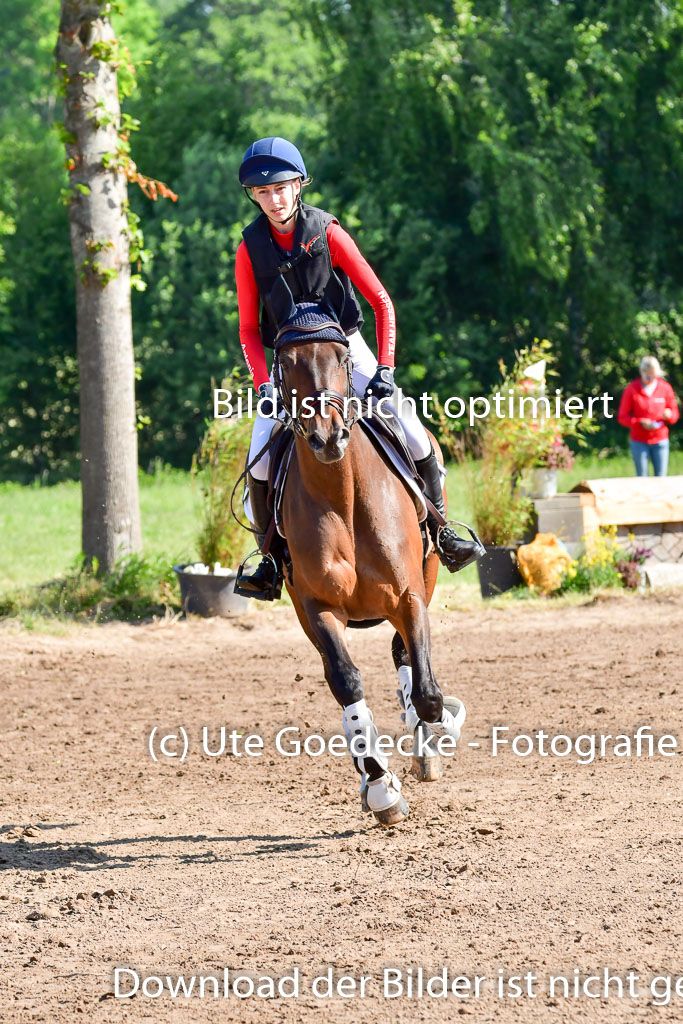 Goldene Schärpe PFerde  in Löningen  11+12.6.22 | 11062022 - Gelände 1 Abt_0184 