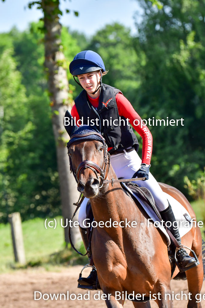Goldene Schärpe PFerde  in Löningen  11+12.6.22 | 11062022 - Gelände 1 Abt_0185