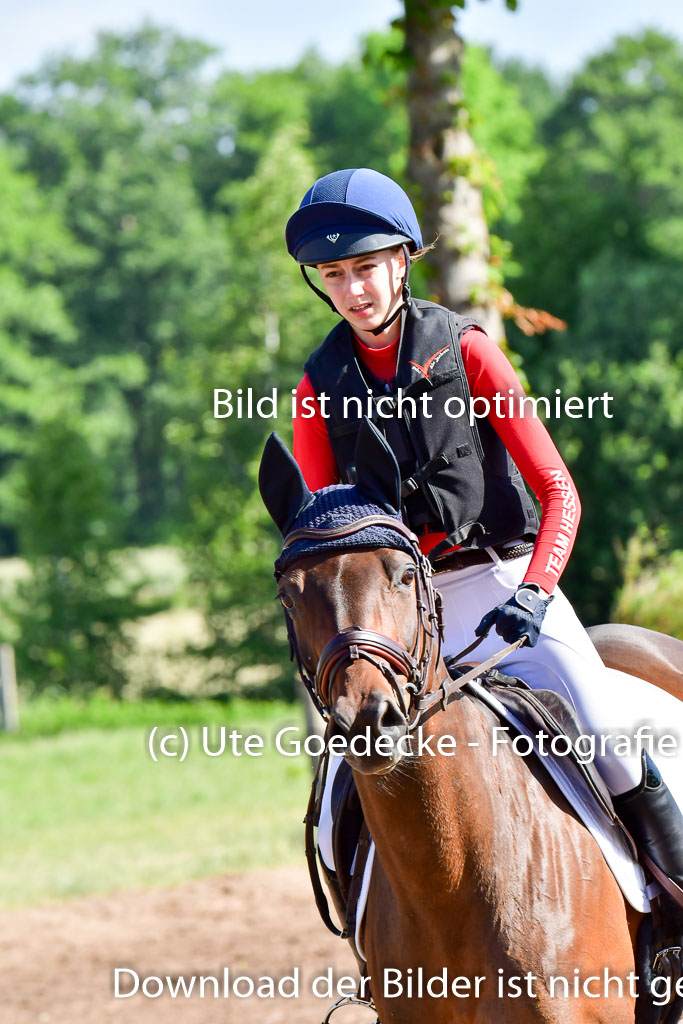 Goldene Schärpe PFerde  in Löningen  11+12.6.22 | 11062022 - Gelände 1 Abt_0186 