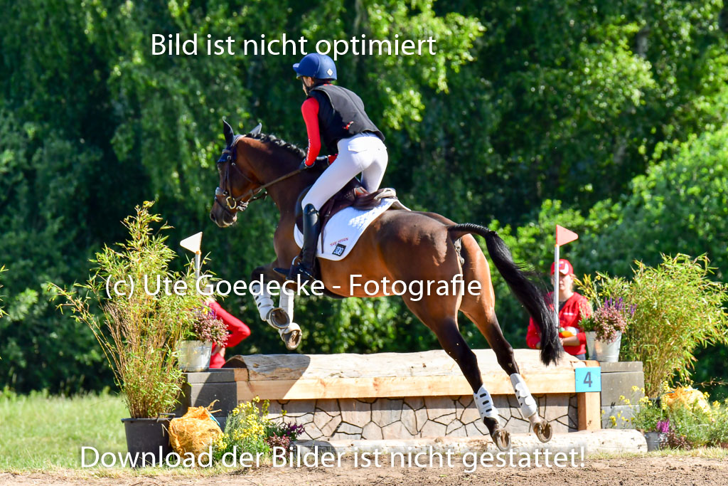 Goldene Schärpe PFerde  in Löningen  11+12.6.22 | 11062022 - Gelände 1 Abt_0187 
