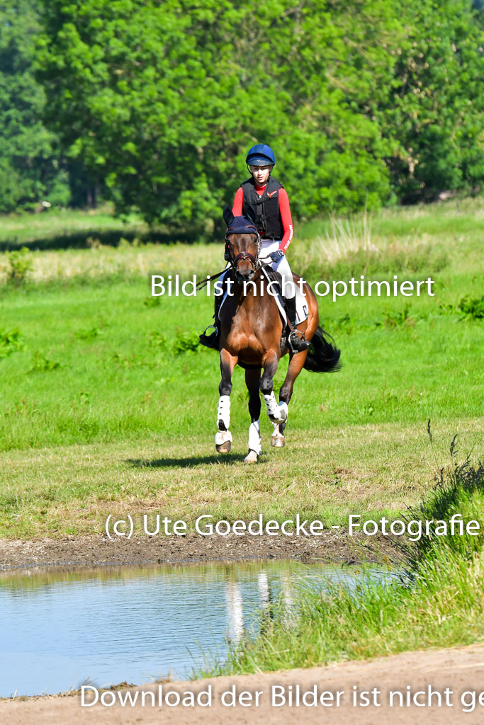 Goldene Schärpe PFerde  in Löningen  11+12.6.22 | 11062022 - Gelände 1 Abt_0188 