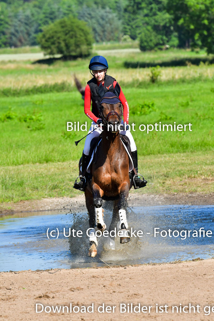 Goldene Schärpe PFerde  in Löningen  11+12.6.22 | 11062022 - Gelände 1 Abt_0189 
