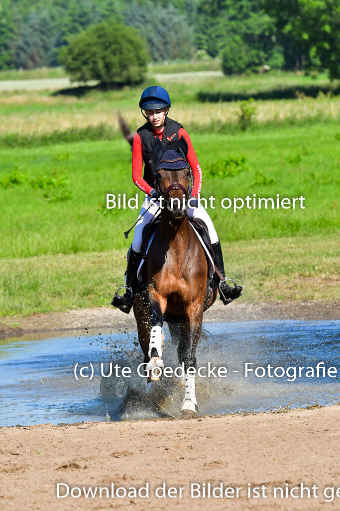 Goldene Schärpe PFerde  in Löningen  11+12.6.22 | 11062022 - Gelände 1 Abt_0190 