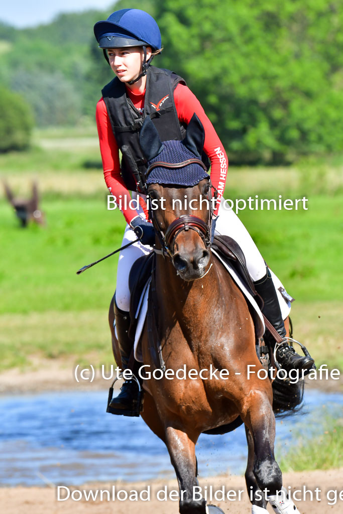 Goldene Schärpe PFerde  in Löningen  11+12.6.22 | 11062022 - Gelände 1 Abt_0192 