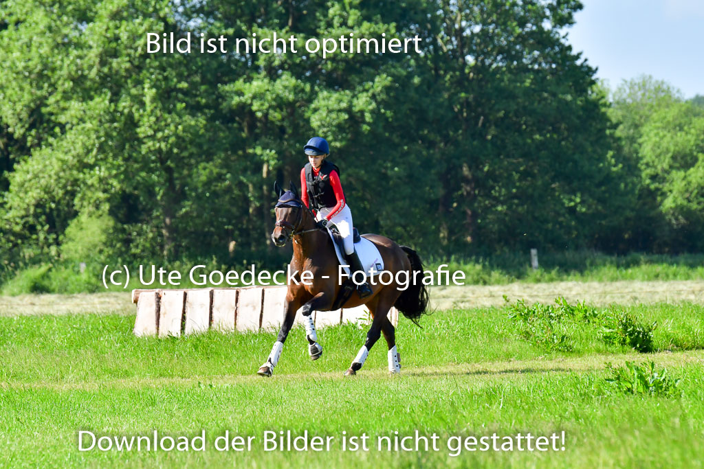 Goldene Schärpe PFerde  in Löningen  11+12.6.22 | 11062022 - Gelände 1 Abt_0193 