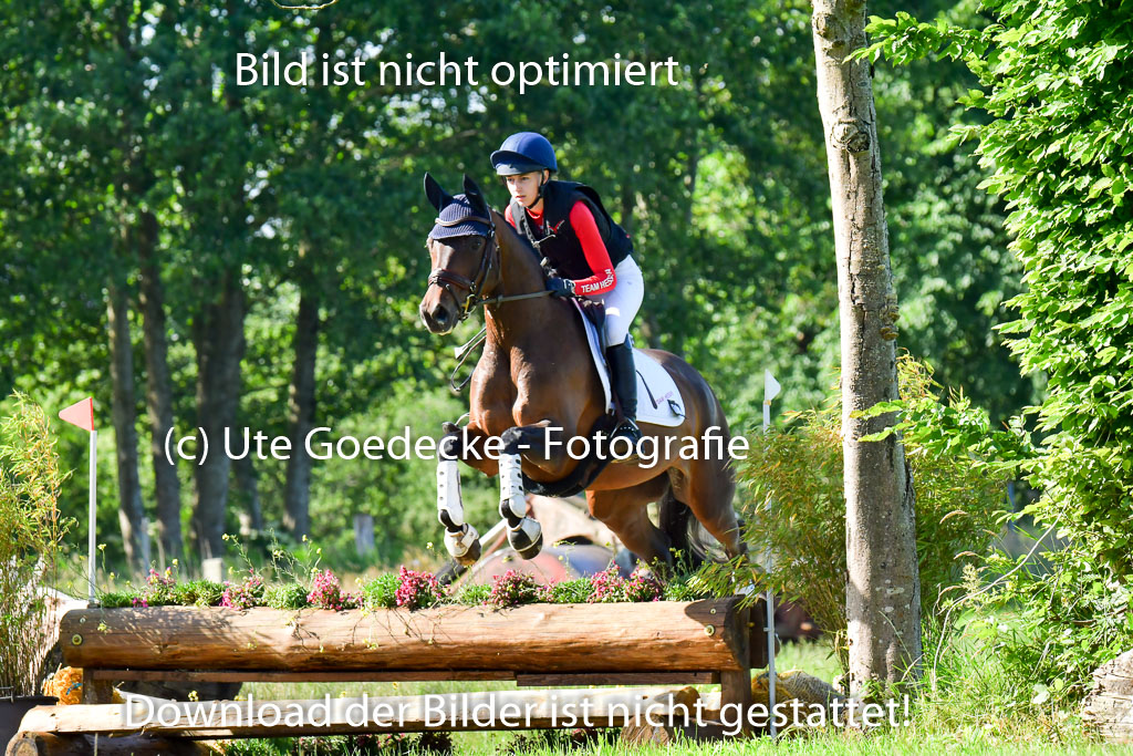 Goldene Schärpe PFerde  in Löningen  11+12.6.22 | 11062022 - Gelände 1 Abt_0195 