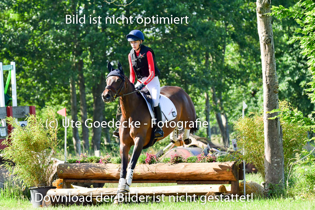 Goldene Schärpe PFerde  in Löningen  11+12.6.22 | 11062022 - Gelände 1 Abt_0196 