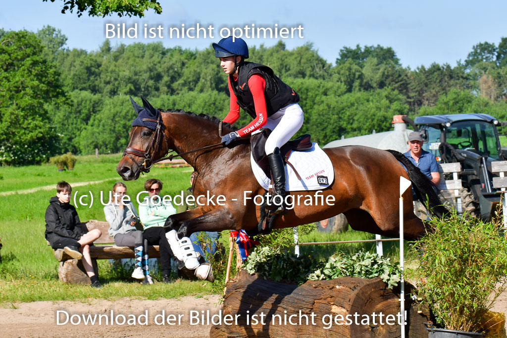 Goldene Schärpe PFerde  in Löningen  11+12.6.22 | 11062022 - Gelände 1 Abt_0199 