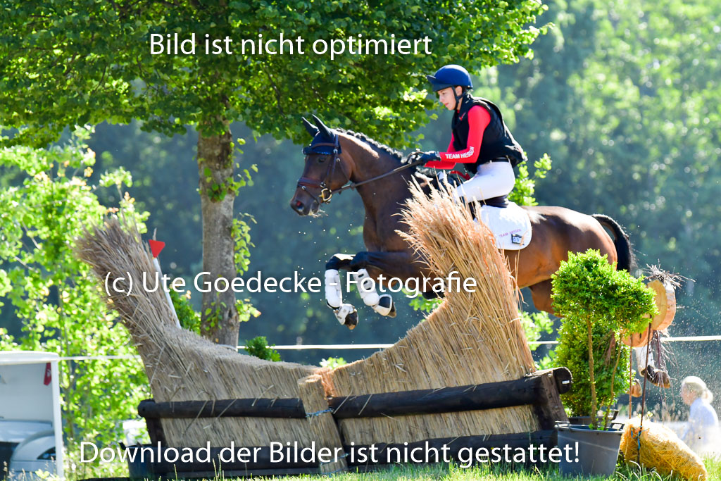 Goldene Schärpe PFerde  in Löningen  11+12.6.22 | 11062022 - Gelände 1 Abt_0201 