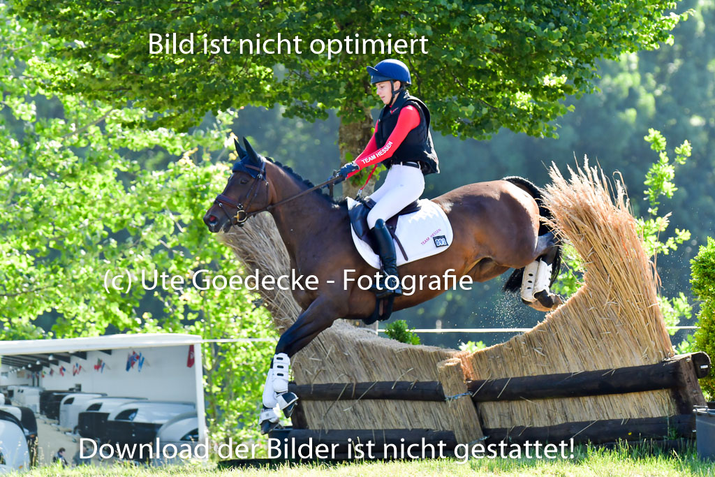 Goldene Schärpe PFerde  in Löningen  11+12.6.22 | 11062022 - Gelände 1 Abt_0202 