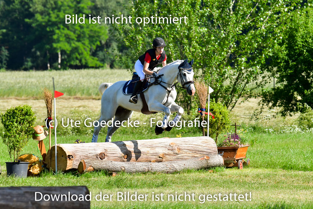 Goldene Schärpe PFerde  in Löningen  11+12.6.22 | 11062022 - Gelände 1 Abt_0205 