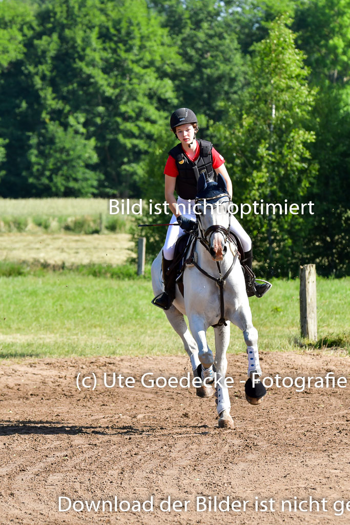 Goldene Schärpe PFerde  in Löningen  11+12.6.22 | 11062022 - Gelände 1 Abt_0207 