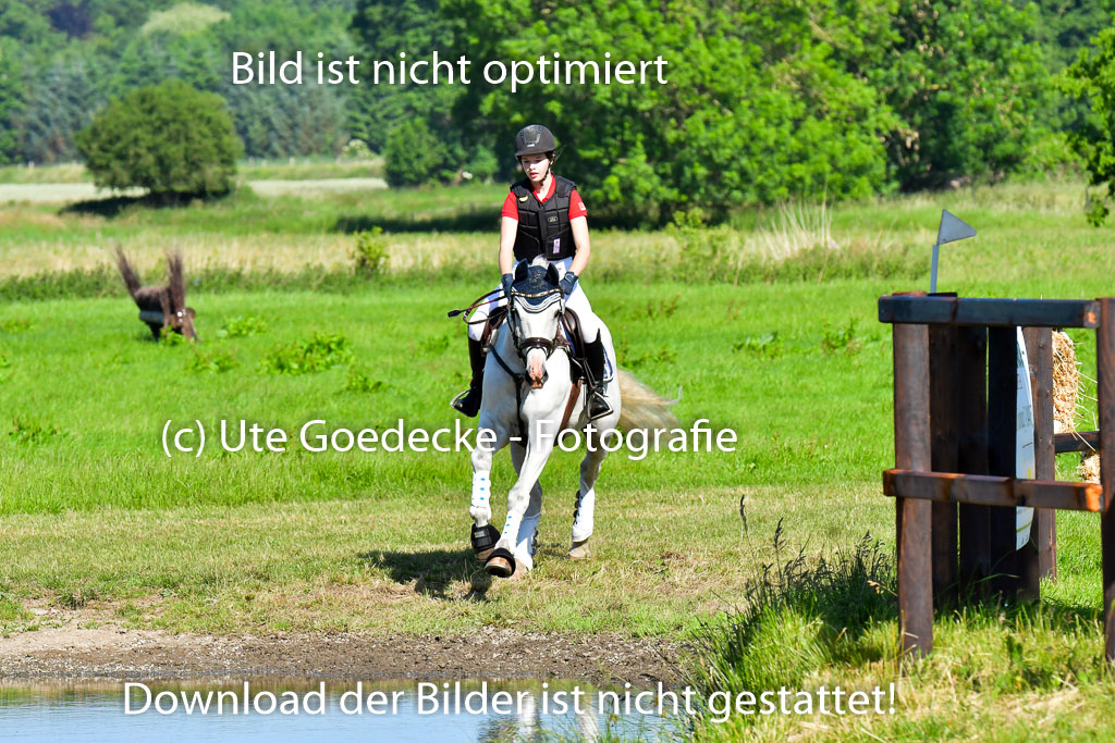 Goldene Schärpe PFerde  in Löningen  11+12.6.22 | 11062022 - Gelände 1 Abt_0211 
