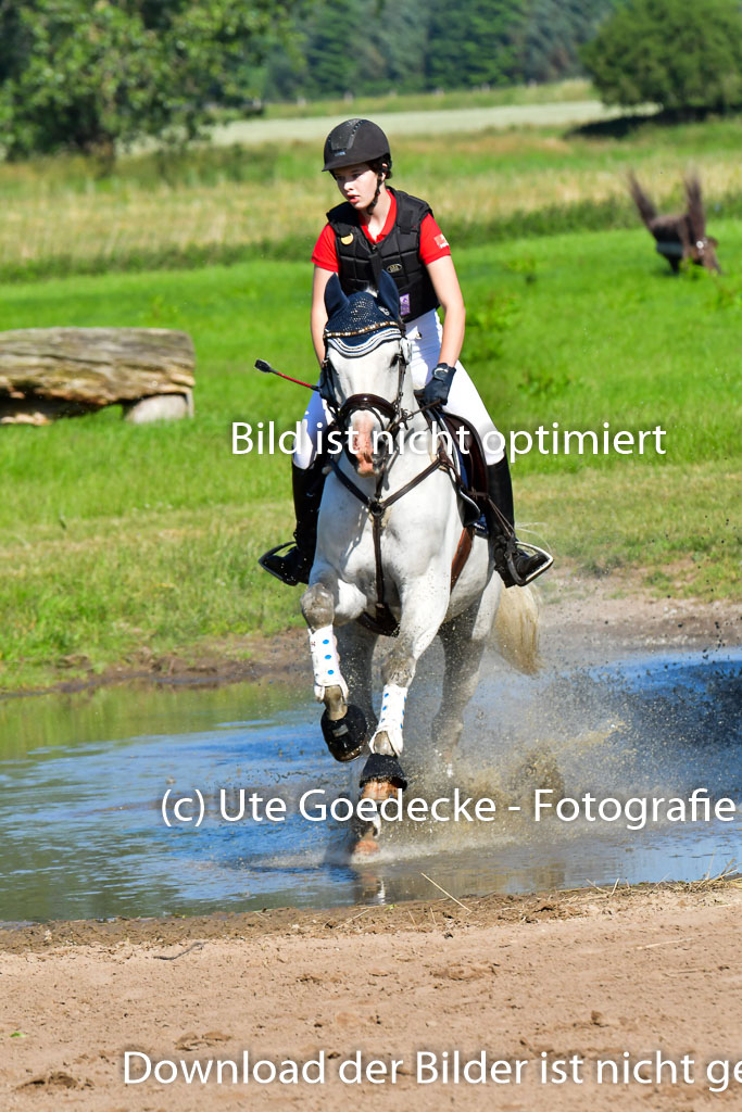Goldene Schärpe PFerde  in Löningen  11+12.6.22 | 11062022 - Gelände 1 Abt_0214 