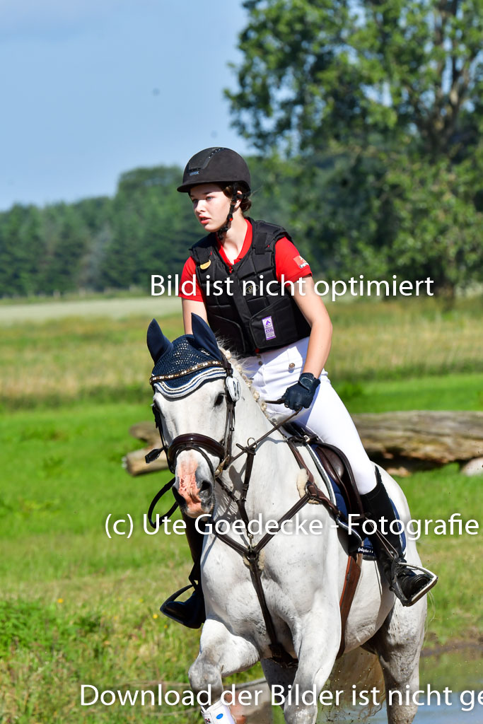 Goldene Schärpe PFerde  in Löningen  11+12.6.22 | 11062022 - Gelände 1 Abt_0217 