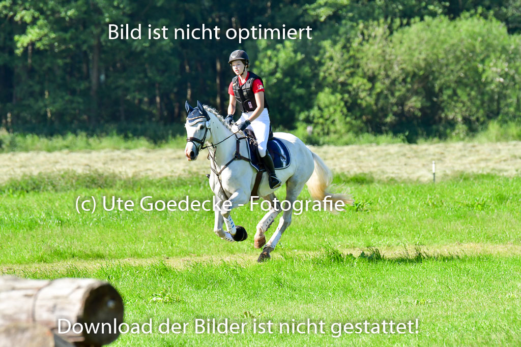 Goldene Schärpe PFerde  in Löningen  11+12.6.22 | 11062022 - Gelände 1 Abt_0220 