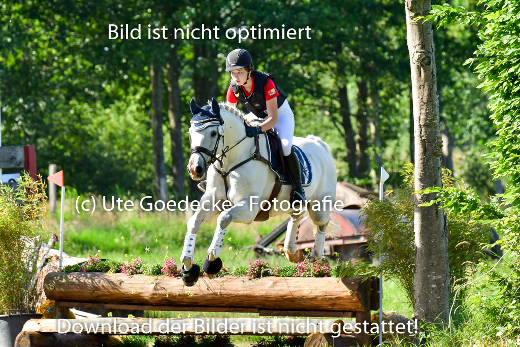 Goldene Schärpe PFerde  in Löningen  11+12.6.22 | 11062022 - Gelände 1 Abt_0222 