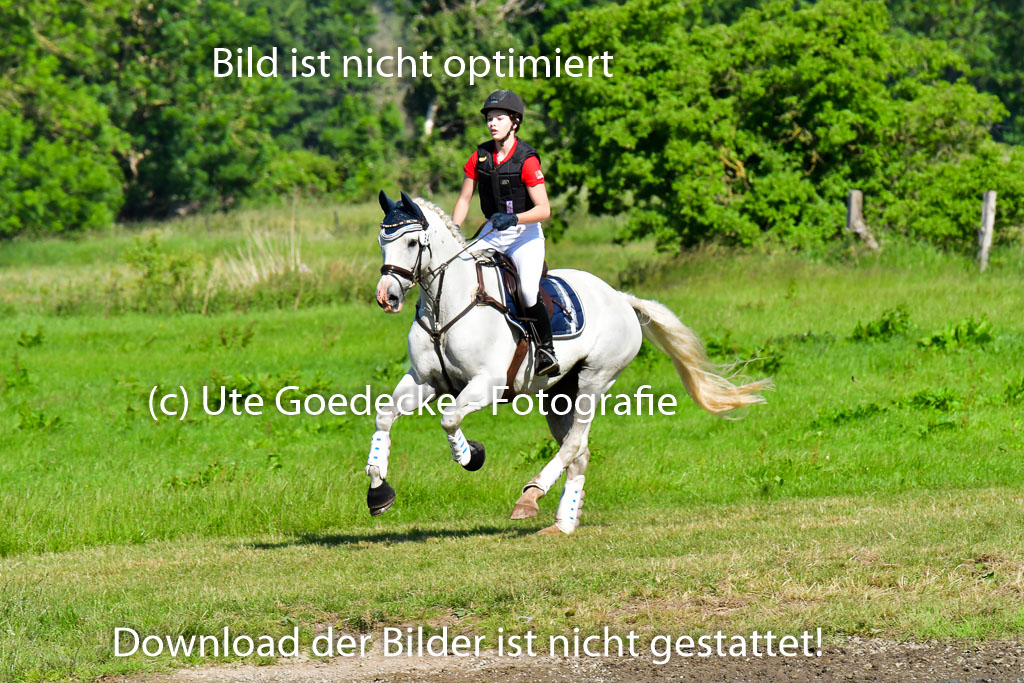 Goldene Schärpe PFerde  in Löningen  11+12.6.22 | 11062022 - Gelände 1 Abt_0223 