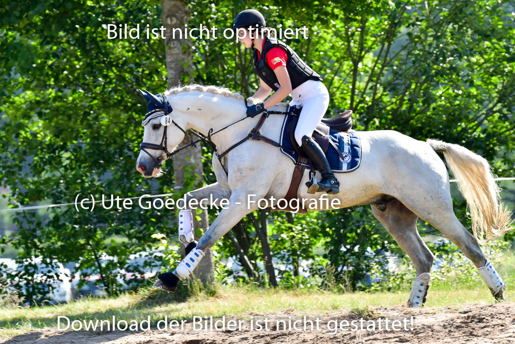 Goldene Schärpe PFerde  in Löningen  11+12.6.22 | 11062022 - Gelände 1 Abt_0232 