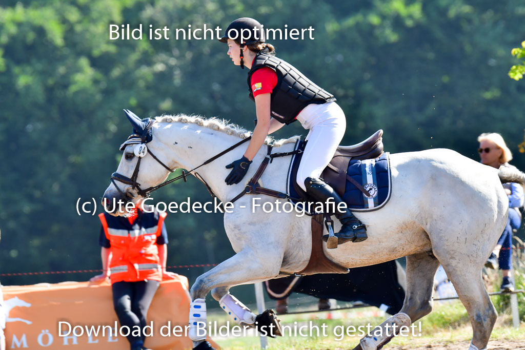 Goldene Schärpe PFerde  in Löningen  11+12.6.22 | 11062022 - Gelände 1 Abt_0233 