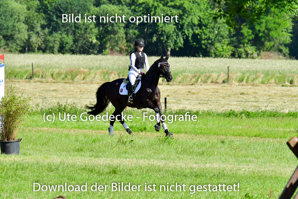 Goldene Schärpe PFerde  in Löningen  11+12.6.22 | 11062022 - Gelände 1 Abt_0234 