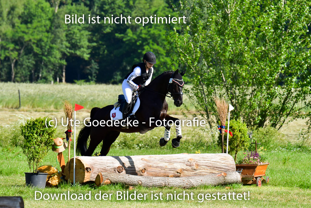 Goldene Schärpe PFerde  in Löningen  11+12.6.22 | 11062022 - Gelände 1 Abt_0235 