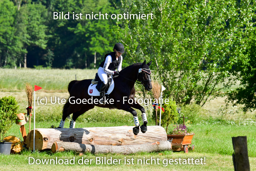 Goldene Schärpe PFerde  in Löningen  11+12.6.22 | 11062022 - Gelände 1 Abt_0236 