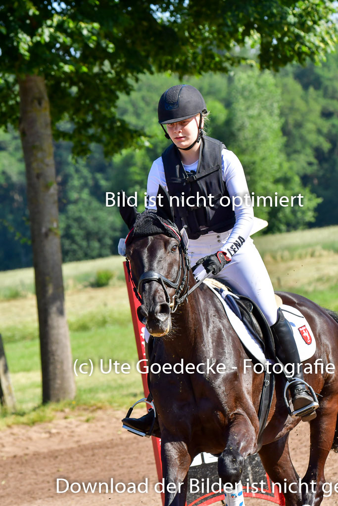 Goldene Schärpe PFerde  in Löningen  11+12.6.22 | 11062022 - Gelände 1 Abt_0237 