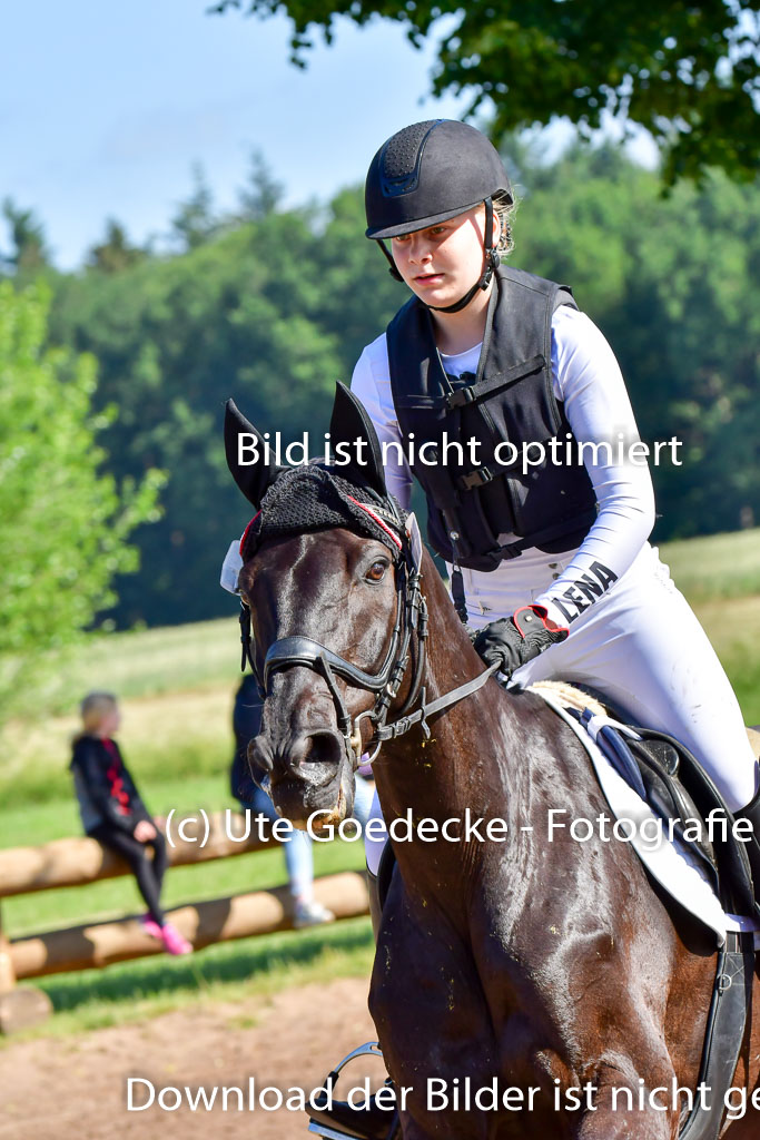 Goldene Schärpe PFerde  in Löningen  11+12.6.22 | 11062022 - Gelände 1 Abt_0238 