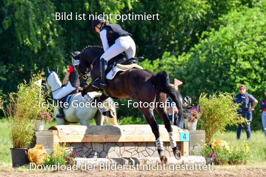 Goldene Schärpe PFerde  in Löningen  11+12.6.22 | 11062022 - Gelände 1 Abt_0239 