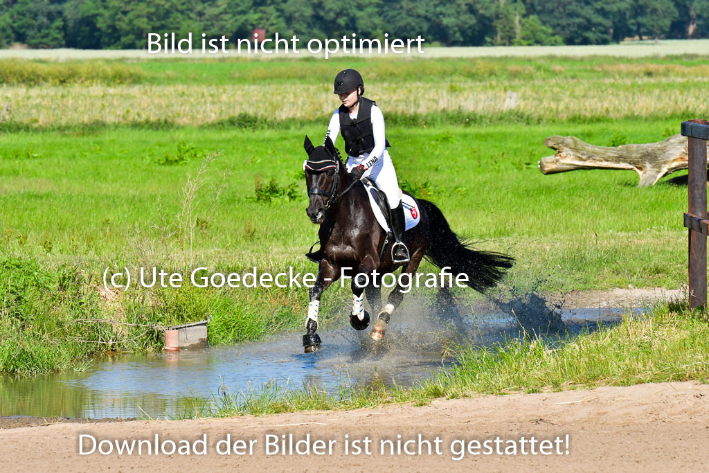 Goldene Schärpe PFerde  in Löningen  11+12.6.22 | 11062022 - Gelände 1 Abt_0241 