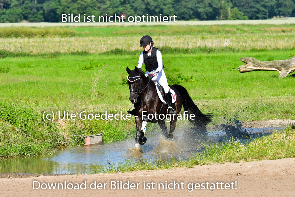Goldene Schärpe PFerde  in Löningen  11+12.6.22 | 11062022 - Gelände 1 Abt_0242 