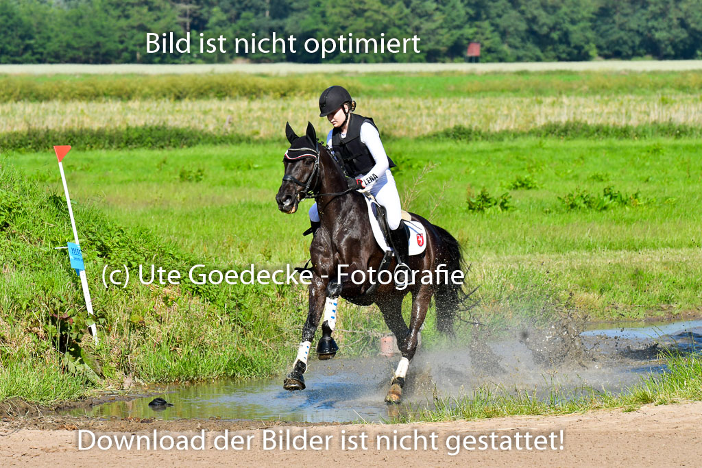 Goldene Schärpe PFerde  in Löningen  11+12.6.22 | 11062022 - Gelände 1 Abt_0243 