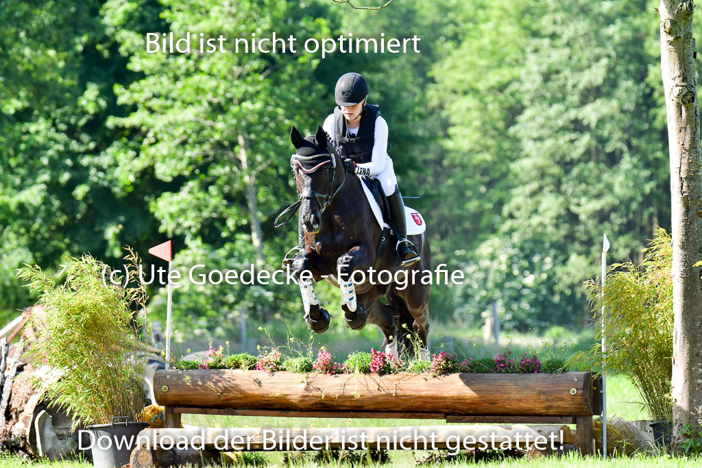 Goldene Schärpe PFerde  in Löningen  11+12.6.22 | 11062022 - Gelände 1 Abt_0245 