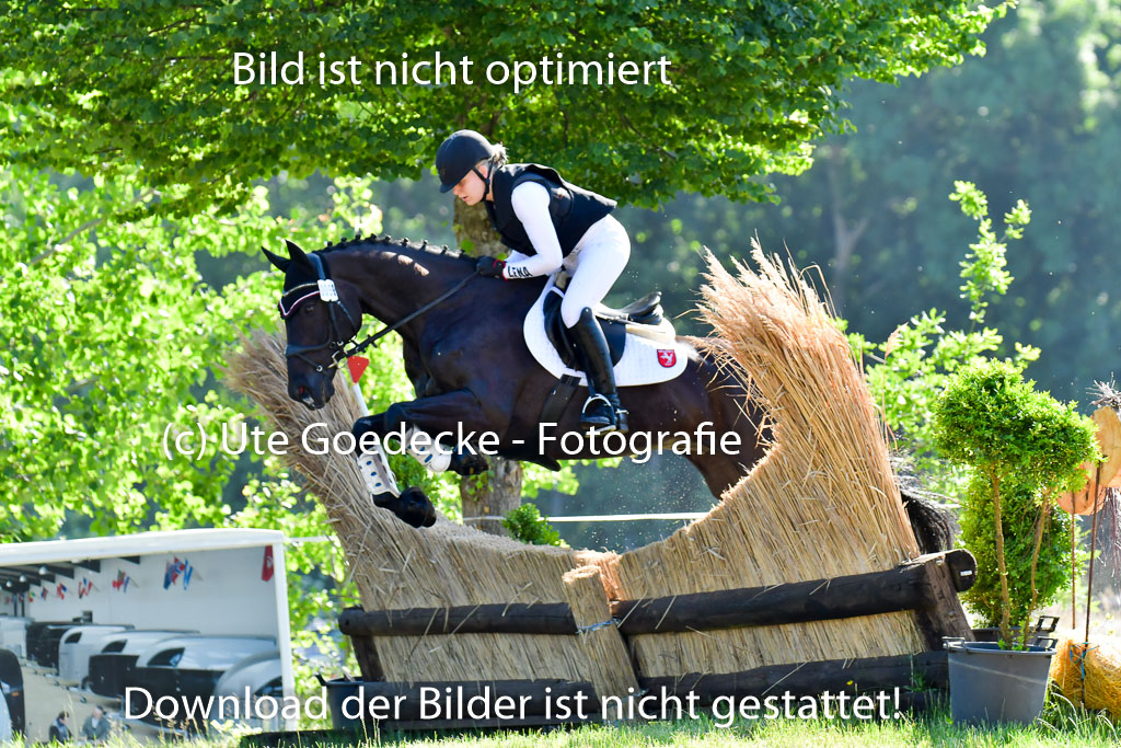 Goldene Schärpe PFerde  in Löningen  11+12.6.22 | 11062022 - Gelände 1 Abt_0250 