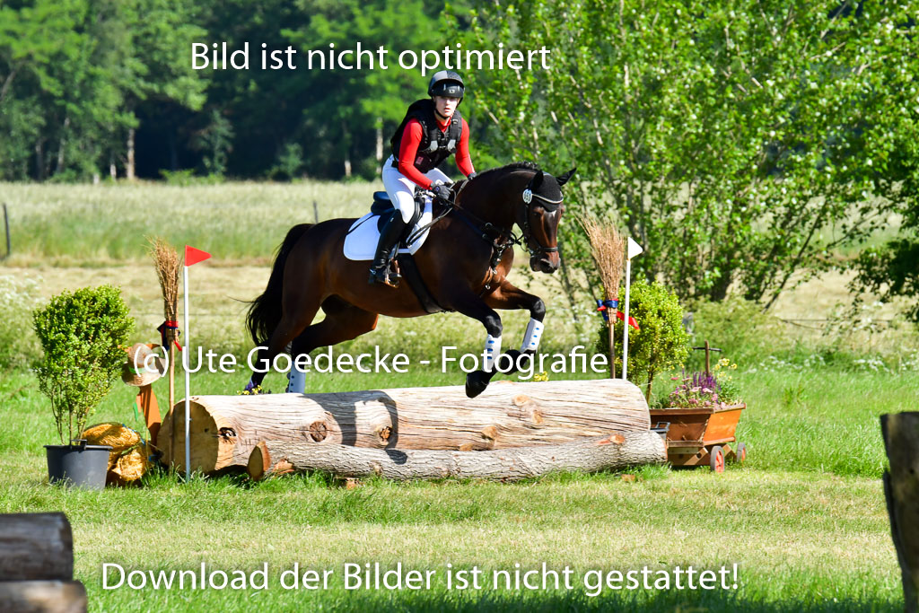 Goldene Schärpe PFerde  in Löningen  11+12.6.22 | 11062022 - Gelände 1 Abt_0254 