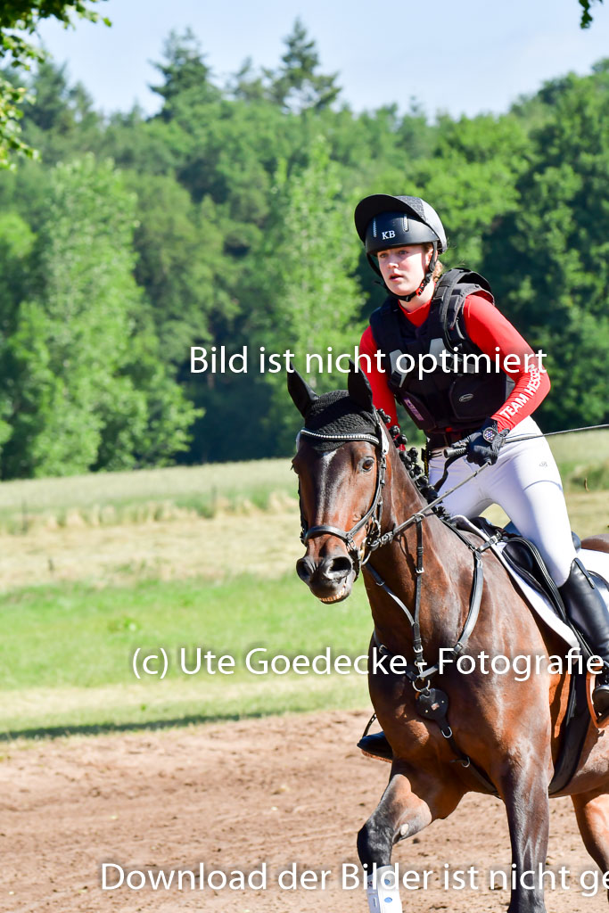 Goldene Schärpe PFerde  in Löningen  11+12.6.22 | 11062022 - Gelände 1 Abt_0257 