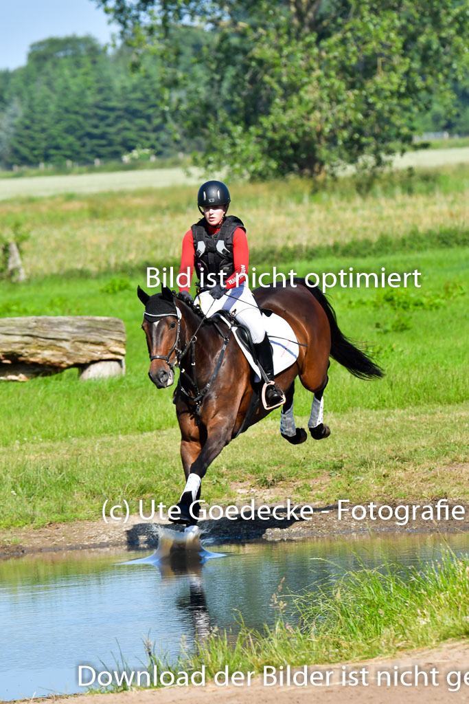 Goldene Schärpe PFerde  in Löningen  11+12.6.22 | 11062022 - Gelände 1 Abt_0260 