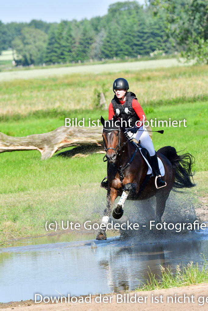 Goldene Schärpe PFerde  in Löningen  11+12.6.22 | 11062022 - Gelände 1 Abt_0262 