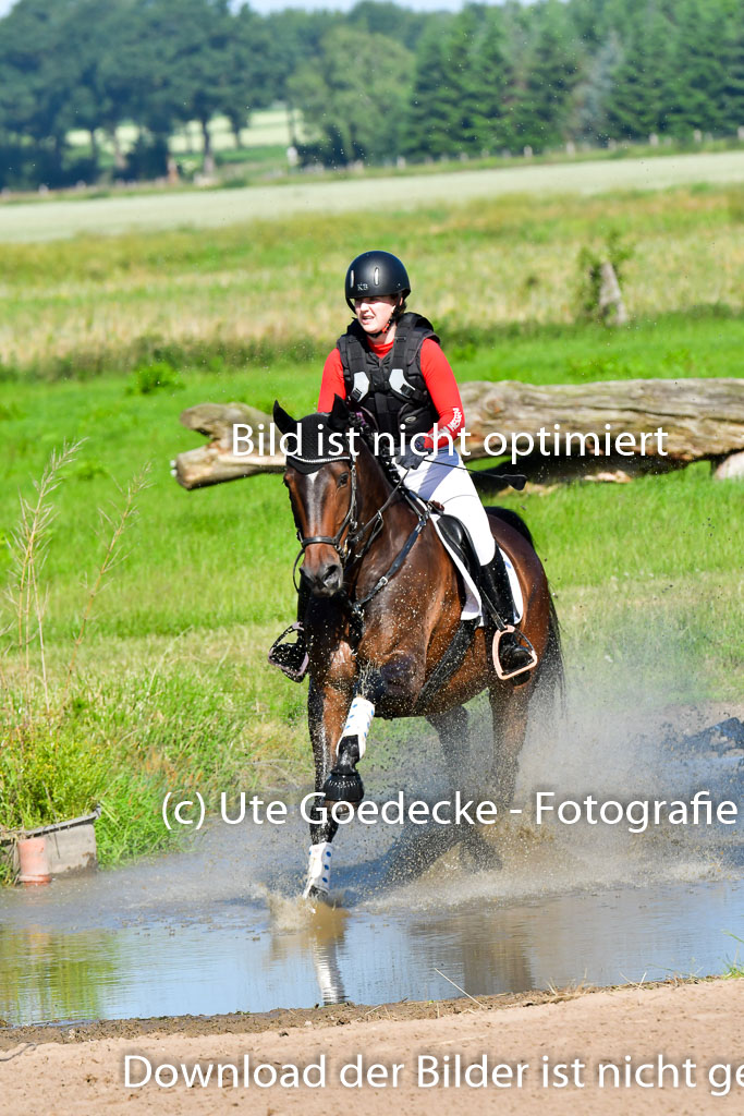 Goldene Schärpe PFerde  in Löningen  11+12.6.22 | 11062022 - Gelände 1 Abt_0265 