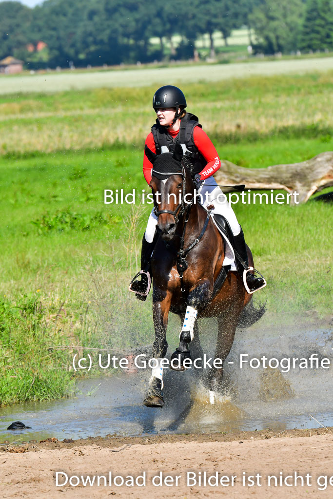 Goldene Schärpe PFerde  in Löningen  11+12.6.22 | 11062022 - Gelände 1 Abt_0267 