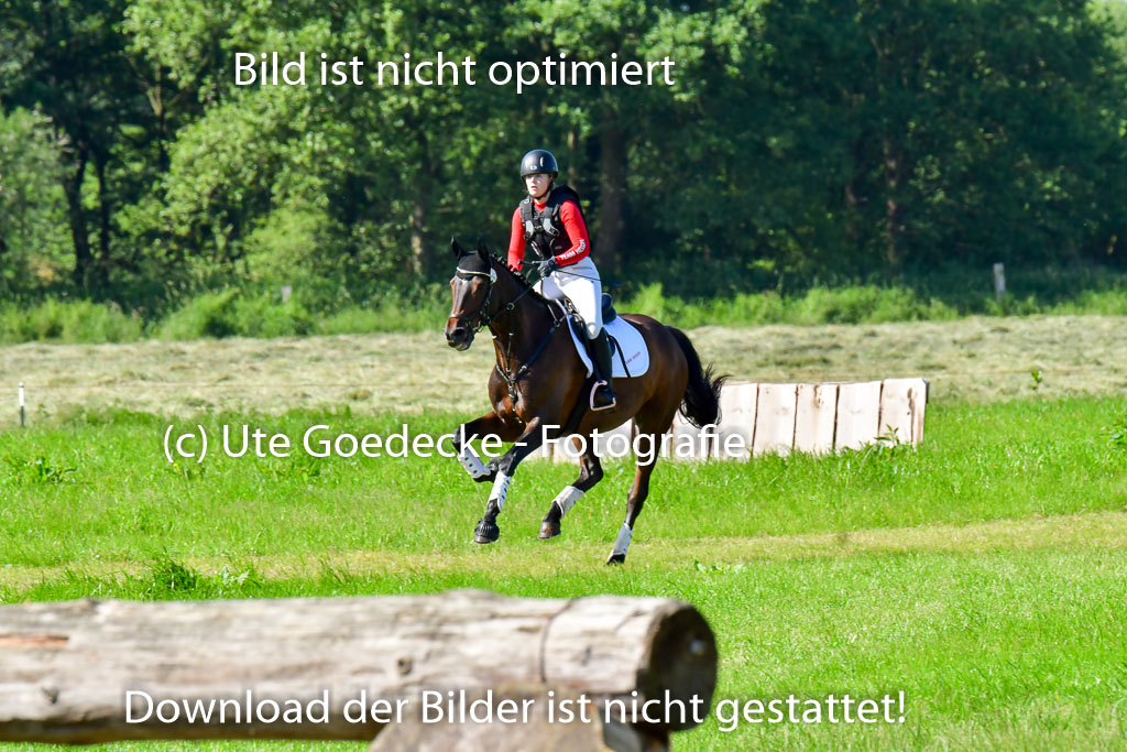 Goldene Schärpe PFerde  in Löningen  11+12.6.22 | 11062022 - Gelände 1 Abt_0269 