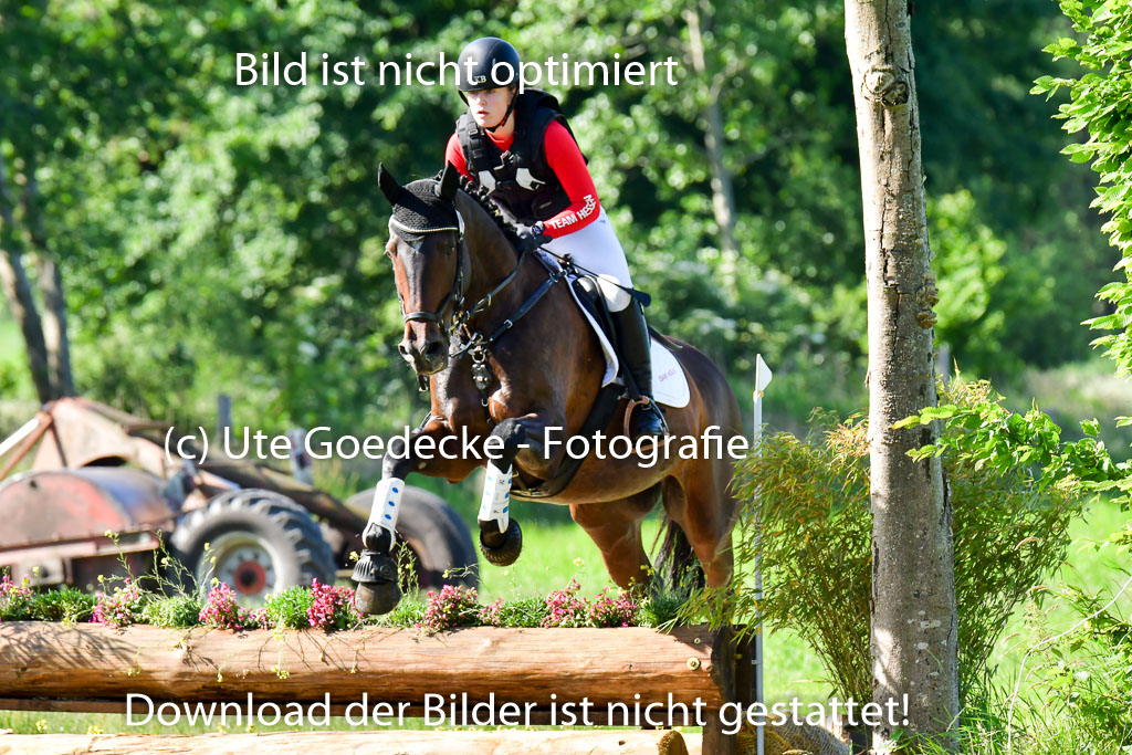 Goldene Schärpe PFerde  in Löningen  11+12.6.22 | 11062022 - Gelände 1 Abt_0270 