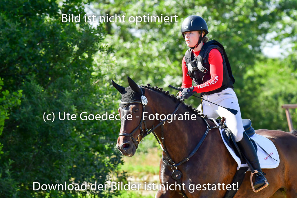 Goldene Schärpe PFerde  in Löningen  11+12.6.22 | 11062022 - Gelände 1 Abt_0272 