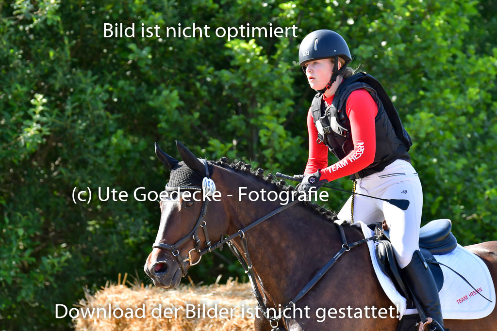Goldene Schärpe PFerde  in Löningen  11+12.6.22 | 11062022 - Gelände 1 Abt_0273 
