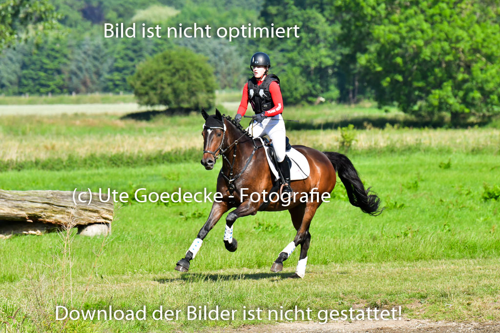 Goldene Schärpe PFerde  in Löningen  11+12.6.22 | 11062022 - Gelände 1 Abt_0274 